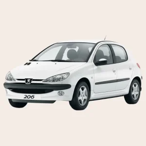 نصب دزدگیر روی خودرو پژو 206 فرانسه